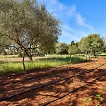 Drimia Can Picafort (Mallorca)