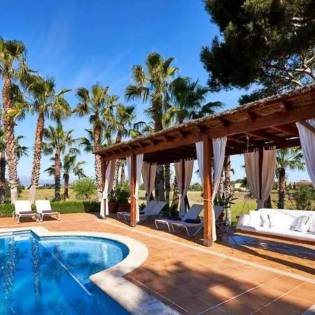 Drimia Can Picafort (Mallorca)