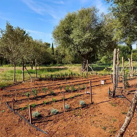 Drimia Villa