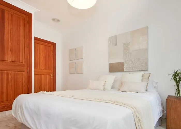 Drimia Can Picafort (Mallorca)