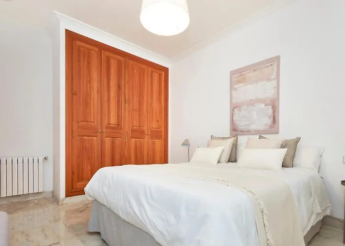 Drimia Can Picafort (Mallorca)