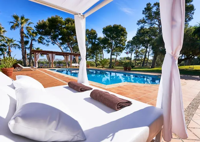 Drimia Can Picafort (Mallorca)