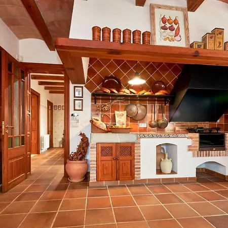 Drimia קאן פיקפורט