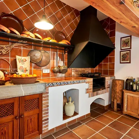 Drimia קאן פיקפורט