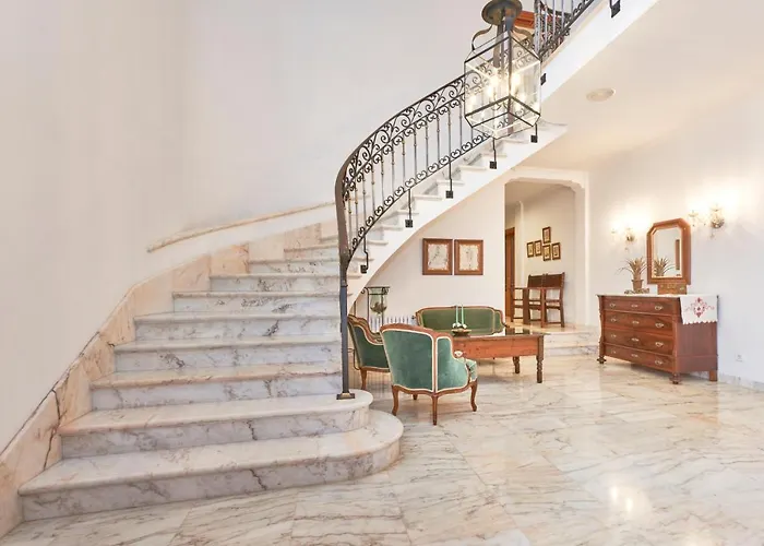 Drimia 坎皮卡福特