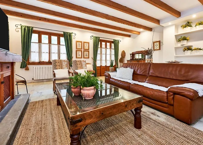 Drimia * 坎皮卡福特