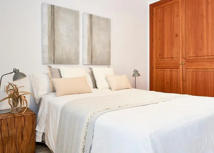 Drimia 坎皮卡福特