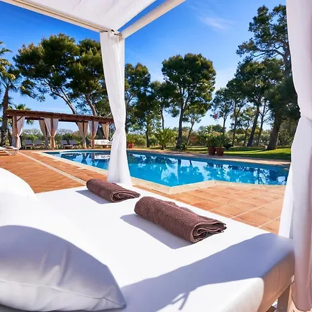 Drimia カン・ピカフォルト